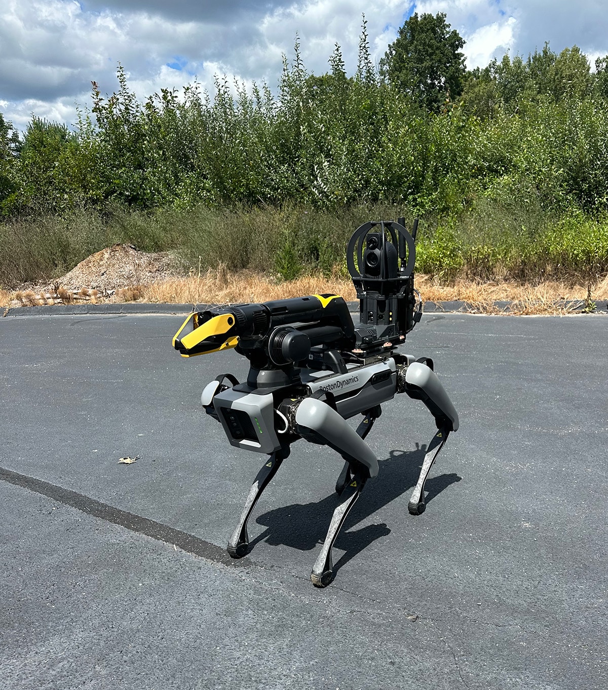 A gray Spot quadruped robot equipped with an arm and camera payload
