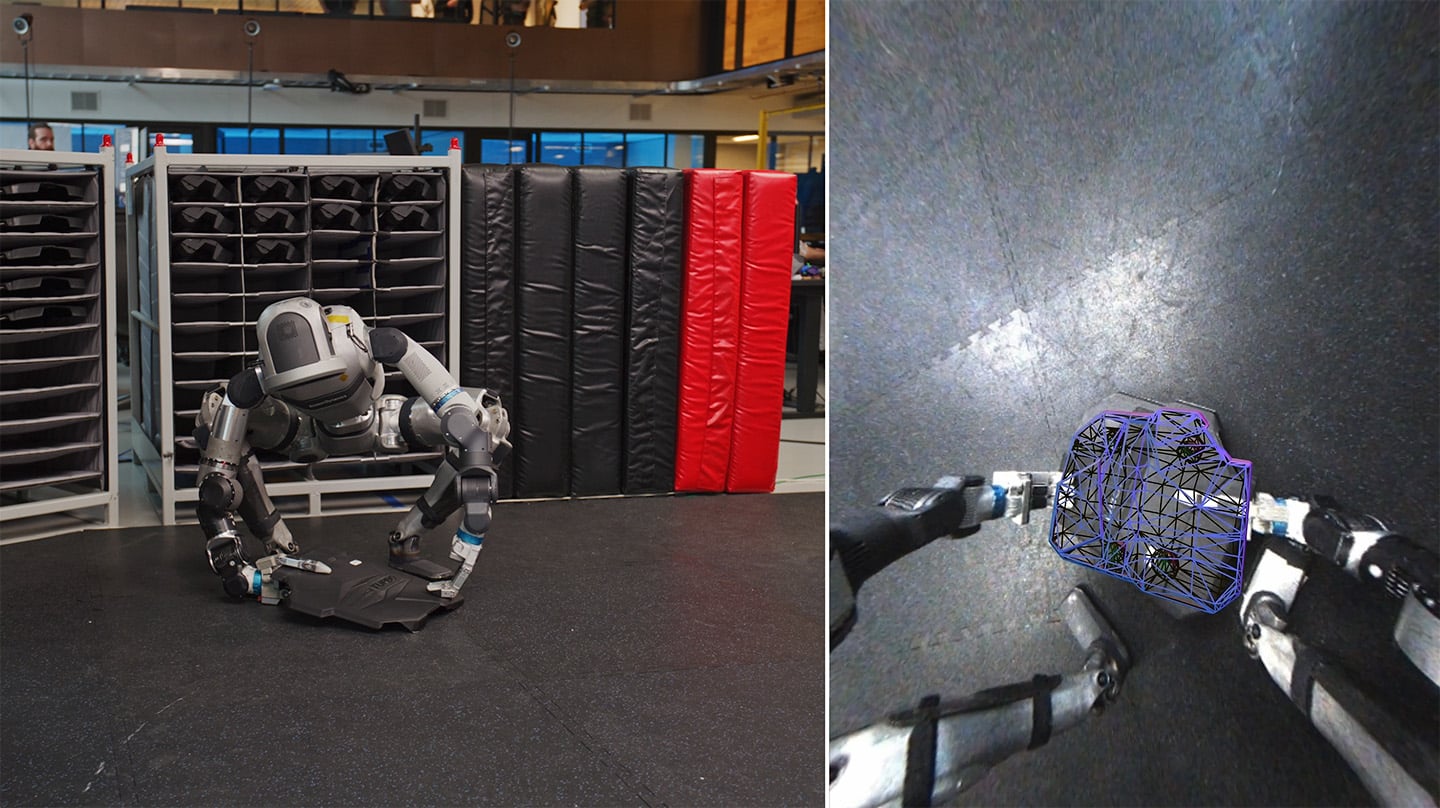 Perception and Adaptability